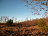 4 Highland Blfs, Monteagle, TN 37356 