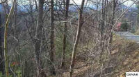 Lot 575 Silver Poplar Ln, Sevierville, TN 37862 