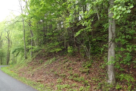 512 Eagel Loft Ln, Butler, TN 37640 