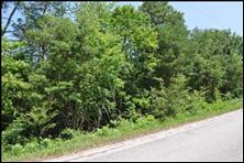 Springview Drive, Lenoir City, TN 37772 