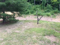 521 Holt Valley Road, Nashville, TN 37221 