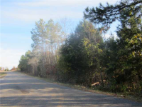0 RACE PATH RD, Selmer, TN 38375 