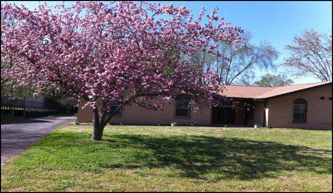 423 Big Horn, Old Hickory, TN 37138 