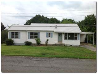 707 Rio Vista Drive, Loudon, TN 37774 