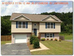 411 Austin Springs Rd, Johnson City, TN 37601 