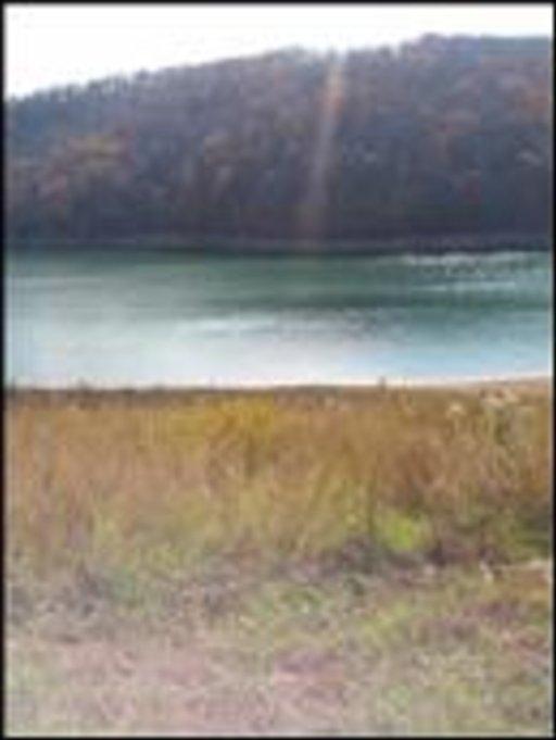 Cameron, Lafollette, TN 37766 