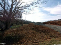 Mccarty Hollow, Telford, TN 37690 