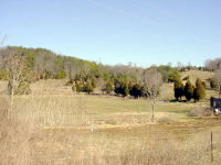 TRACT 6 PLEASANT RIDGE RD. #N/A, Talbott, TN 37877 