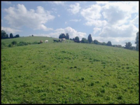 115 Greenhouse Lane, Thorn Hill, TN 37881 