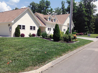 354 Devon Way, White Pine, TN 37890 