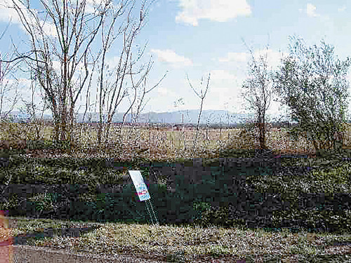 2809 BRETHREN CHURCH ROAD #-, White Pine, TN 37890 