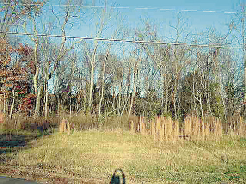 7925 Whetsel, Whitesburg, TN 37891 