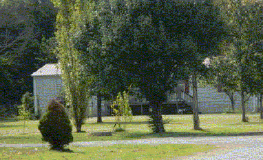 275 Cuttoff Rd, Murfreesboro, TN 37129 