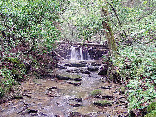 Off Hwy 68 Grandview, Grandview, TN 37337 