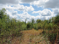 0 NE Hwy 108, Whitwell, TN 37397 