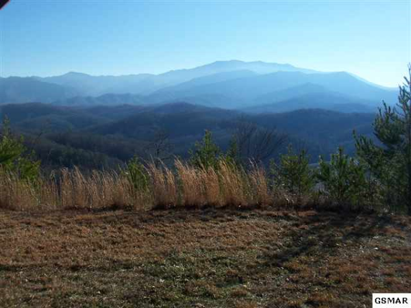 2859 Webb Creek Road, Gatlinburg, TN 37738 
