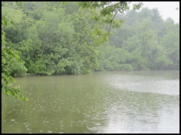 109 Maple, Kingston, TN 37763 