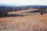 38.66 ac ALLEN CHAPEL, Parrottsville, TN 37843 
