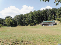 128 Emerald Way, Parrottsville, TN 37843 