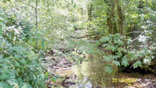 775 LAWSON ROAD, Gainesboro, TN 38562 