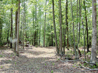 Tract 14 Broken Bow Lane, Moss, TN 38575 