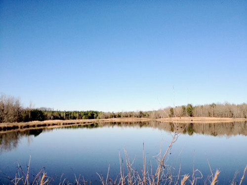 0 CHARLES RD, Decatur, TN 37322 