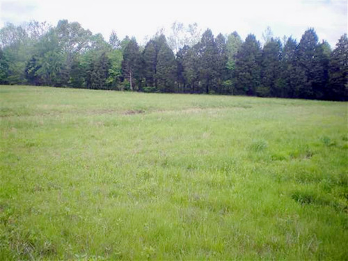 000 North Nopone Valley Road, Decatur, TN 37322 