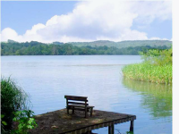 195 DRYMAN LN, Decatur, TN 37322 