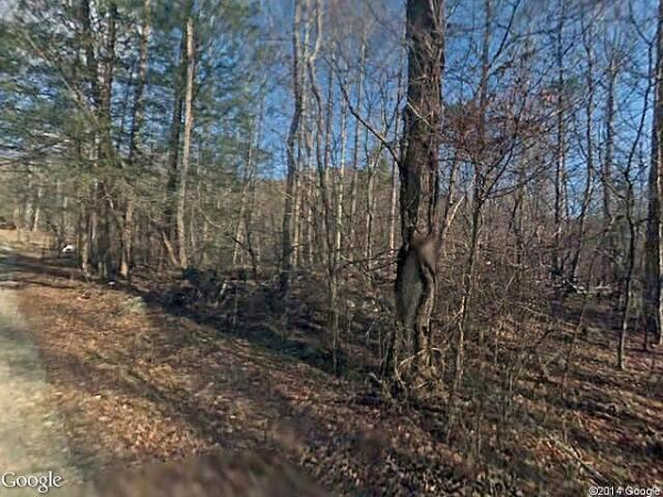 Ac Bogard Rd & 111.54 Ac Yell, Cosby, TN 37722 