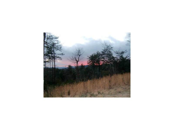 22 Trewit Lane, Other-Tennessee, TN 37391 