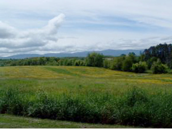 708 Opie Arnold Road, Limestone, TN 37681 