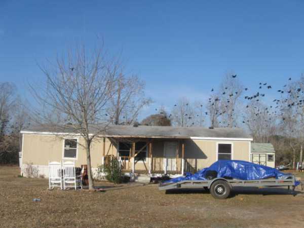 fm 317, Chandler, TX 75758 