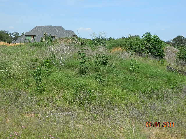 571 SIMMONS ROAD, DOUBLE OAK, TX 75077 