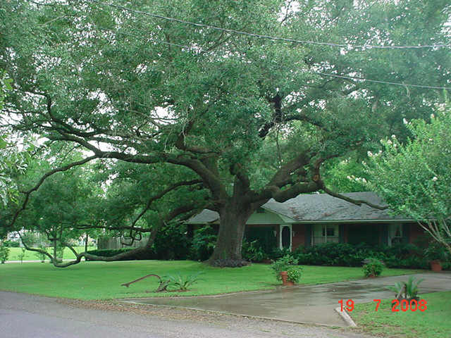 8418 SYMS, Fulshear, TX 77441 