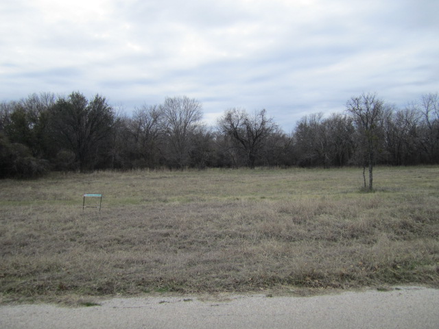 35 Imperial Mammoth Ln, Weatherford, TX 76086 