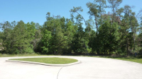 17420 Lakewood Glen Ct, Tomball, TX 77375 