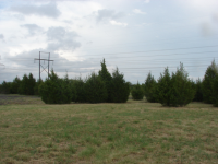 14 Block A Windor Dr, Rockwall, TX 75032 