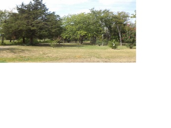 13386 Fm 859, Wills Point, TX 75169 