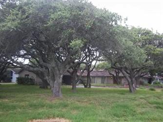 1130 Linden St, Rockport, TX 78382 