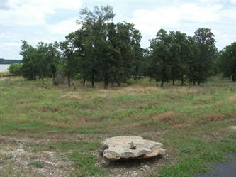 Lot 205 Apn R0981020500, Chico, TX 76431 