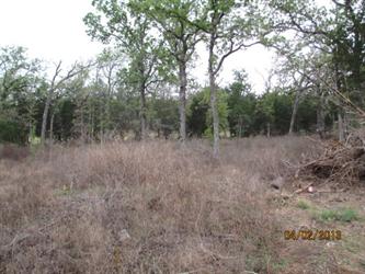 172 Abamillo Dr (Apn# R109916), Bastrop, TX 78602 
