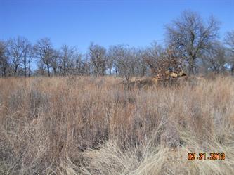 Lot 22 A Of 7 R Ranch (Apn# R000033, Gordon, TX 76453 