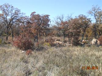 G31 Phase 2 (Apn# 085813828), Gordon, TX 76453 