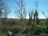 820 S Pine Street 102, Arcola, TX 77583 