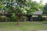 1712 Aurora Dr, Richardson, TX 75081 