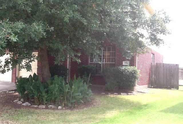 3906 Norfolk Pine St, Fresno, TX 77545 