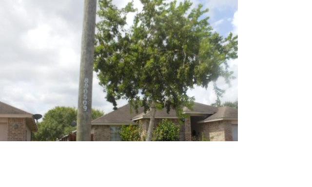1325 Calle San Lucas, Corpus Christi, TX 78417 