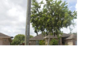 1325 Calle San Lucas, Corpus Christi, TX 78417 