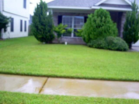 Sugar Cane, Baytown, TX 77523 