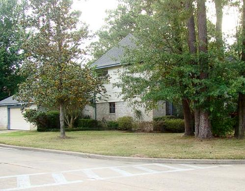 Lemur, Cypress, TX 77429 